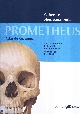 Prometheus, atlas de anatomia : cabeça e neuroanatomia